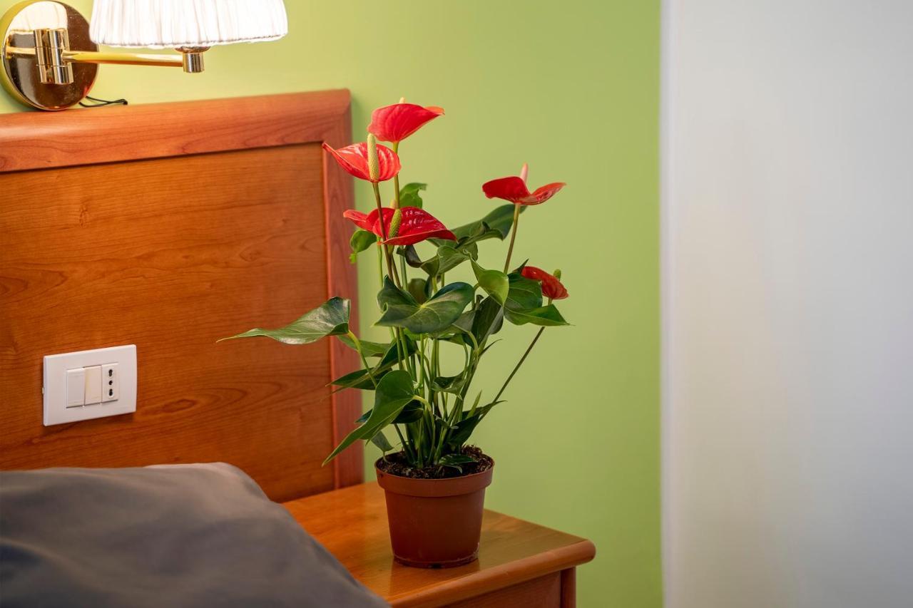 Hotel Il Passetto Rzym Zewnętrze zdjęcie